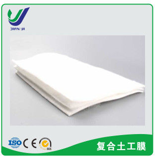 Versatile 1G1M & 2G1M HDPE Composite Membrane with 0.2mm-1.0mm Thickness for Multi-Scenario Engineering Anti-Seepage