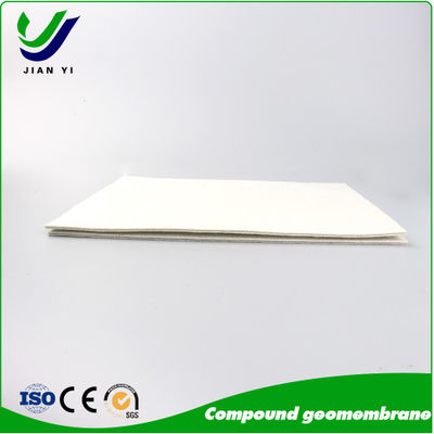 Versatile 1G1M & 2G1M HDPE Composite Membrane with 0.2mm-1.0mm Thickness for Multi-Scenario Engineering Anti-Seepage
