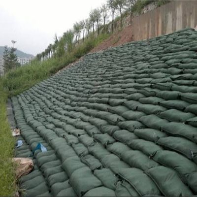 टिकाऊ वनस्पति सुदृढीकरण प्रणाली पारिस्थितिक बैग (EcoBags)