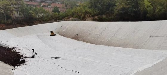 फिल्ट्रेशन और अलगाव के लिए अनुकूलन योग्य लंबी फाइबर जियोटेक्स्टिल फिल्टर कपड़े