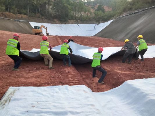 TerraDrain HD 3D जल निकासी नेट: बेजोड़ रासायनिक प्रतिरोध और दीर्घायु