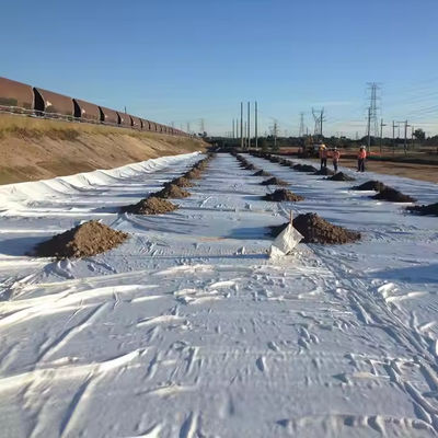 काला बुना हुआ भू-तहस्त्र के साथ टिकाऊ सुदृढीकरण सुरक्षा कपड़े चौड़ाई 2-6 मीटर