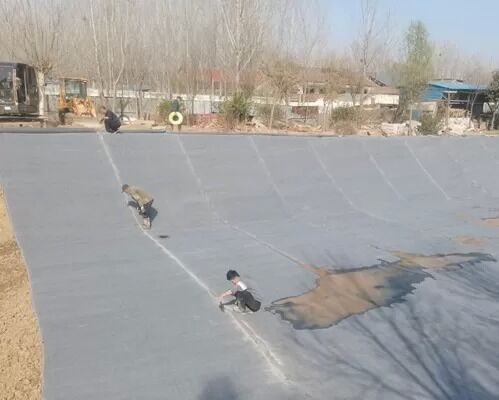 JC/T 2884-2025 4 मीटर चौड़ाई के साथ तेजी से ढलान सुरक्षा के लिए मानक उच्च शक्ति तेजी से इलाज सीमेंट कंबल