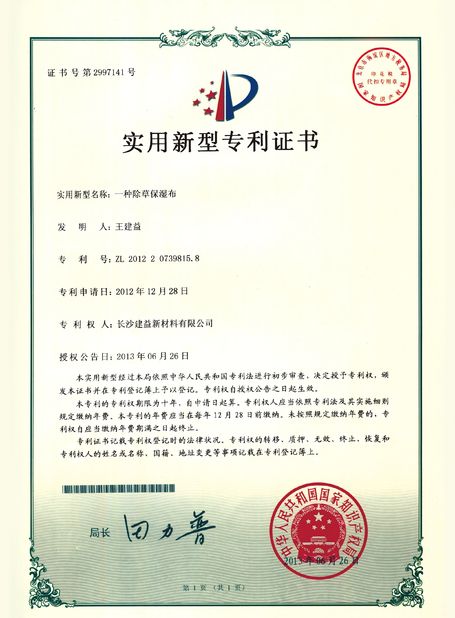 चीन Changsha Jian-Yi New Material Co., Ltd. प्रमाणपत्र